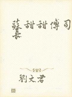 苏甜甜傅司衍机长