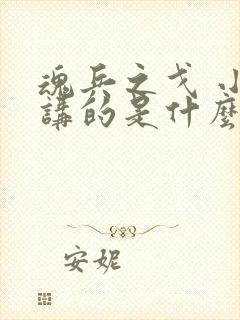 魂兵之戈 小说讲的是什么