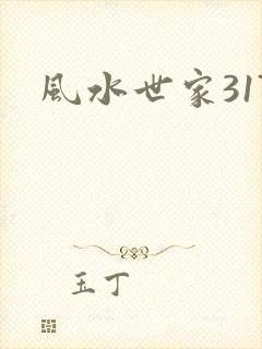 风水世家317