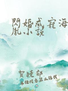 闪婚成宠海彤战胤小说