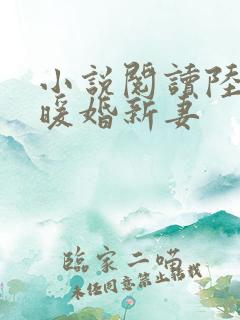 小说阅读陆少的暖婚新妻
