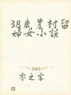 38岁农村留守妇女小说