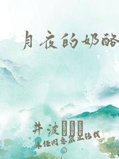 月夜的奶酪h