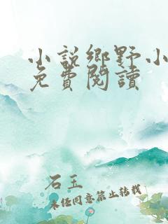 小说乡野小傻医免费阅读