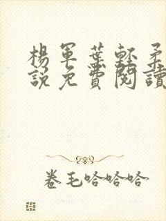杨军叶轻柔的小说免费阅读无弹窗