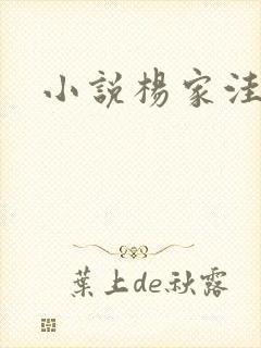小说杨家洼情事