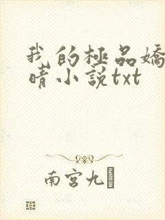 我的极品娇妻苏晴小说txt