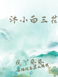 沐小白三花