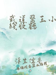 武道医王小说在线收听