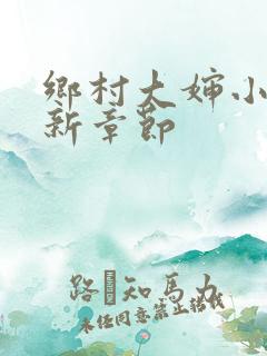 乡村大婶小说最新章节