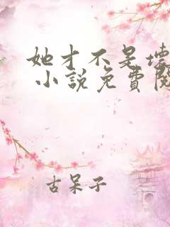 她才不是坏女人 小说免费阅读