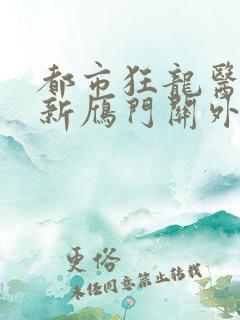 都市狂龙医仙最新雁门关外
