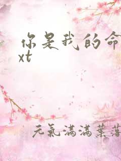 你是我的命运txt
