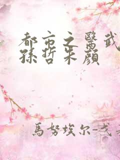 都市之医武风流孙哲朱颜