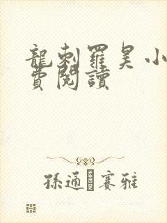 龙刺罗昊小说免费阅读