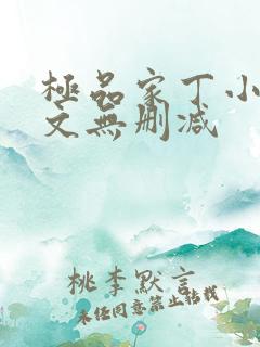 极品家丁小说全文无删减