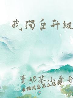 我独自升级小说