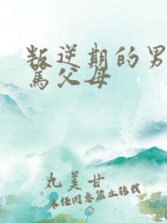 叛逆期的男孩子骂父母