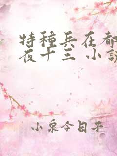 特种兵在都市 夜十三 小说