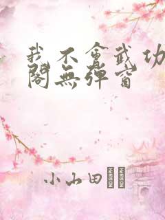 我不会武功笔趣阁无弹窗