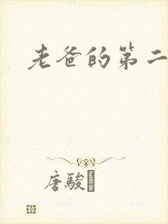 老爸的第二春