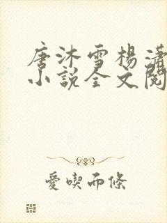 唐沐雪杨潇免费小说全文阅读
