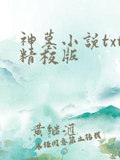 神墓小说txt精校版
