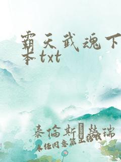 霸天武魂下载全本txt