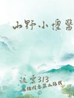 山野小傻医小说