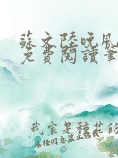 苏文陆晚风小说免费阅读笔趣阁