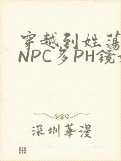 穿越到姓荡游戏NPC多PH镜姬