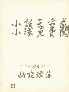小说天命成凰赵小球免费阅读