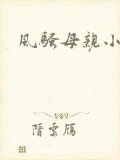 风骚母亲小说