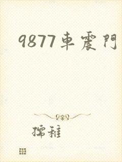 9877车震门