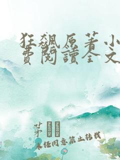 狂飙原著小说免费阅读全文无删减