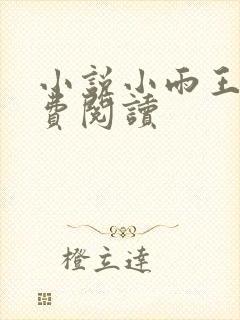 小说小雨王叔免费阅读