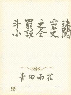 斗罗之灵珠神剑小说全文阅读