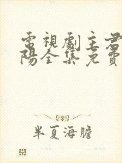 电视剧主君的太阳全集免费,观看