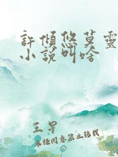 许倾悠莫灵泽的小说叫啥