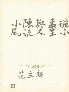 小陈与孟琬蓉的风流人生小说