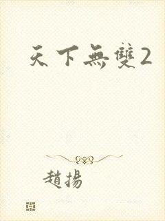 天下无双2