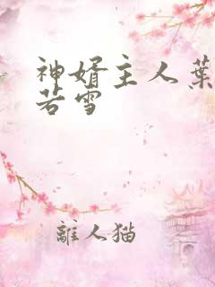 神婿主人叶凡唐若雪