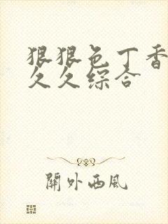 狠狠色丁香婷婷久久综合