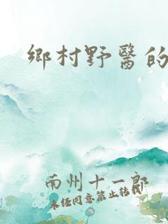 乡村野医的小说