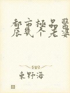 都市极品医神叶辰几个老婆