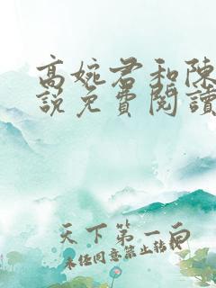 高婉君和陈斌小说免费阅读