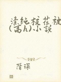 清纯校花被调教(高h)小说