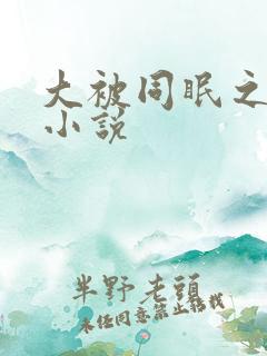 大被同眠之乡村小说