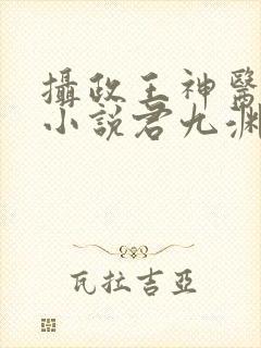 摄政王神医狂妃小说君九渊
