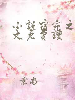 小说宿命之环全文免费读